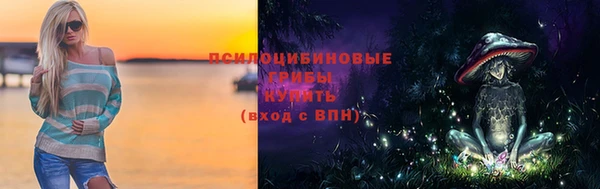 a pvp Бородино