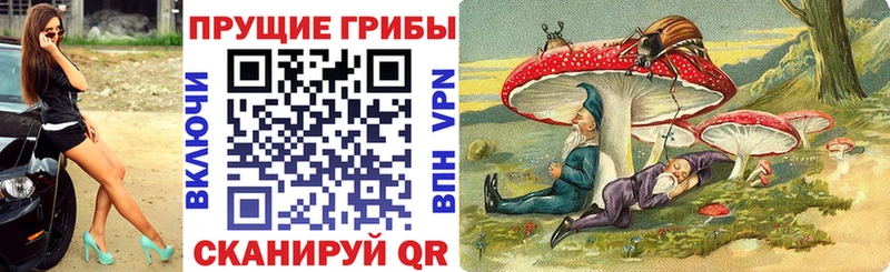 Псилоцибиновые грибы MAGIC MUSHROOMS  Купить закладки  Лабинск 